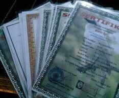 Dijual Sepasang Burung Jalak Bali